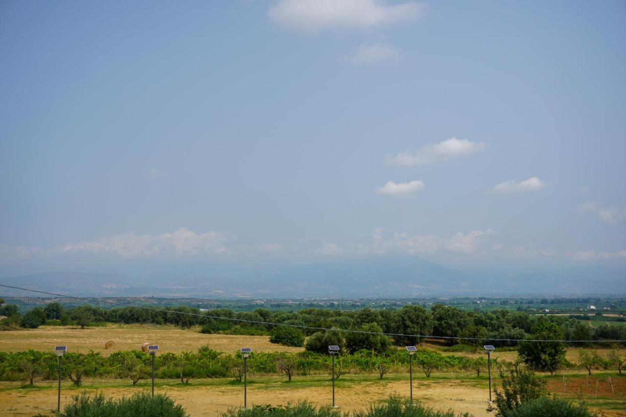 Agriturismo Casacchella Marina di Sibari Esterno foto