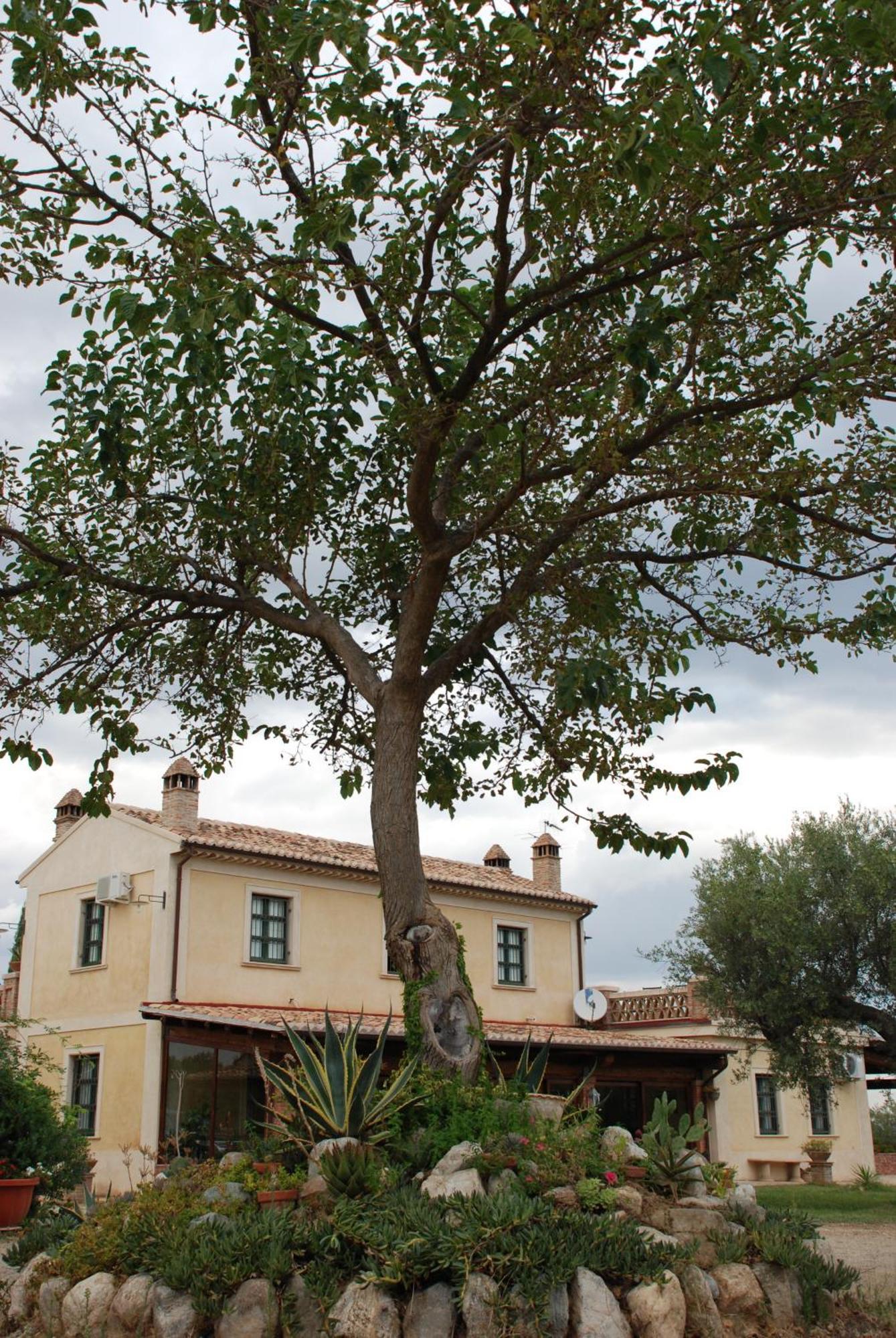 Agriturismo Casacchella Marina di Sibari Camera foto
